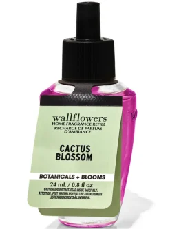 Cactus Blossom